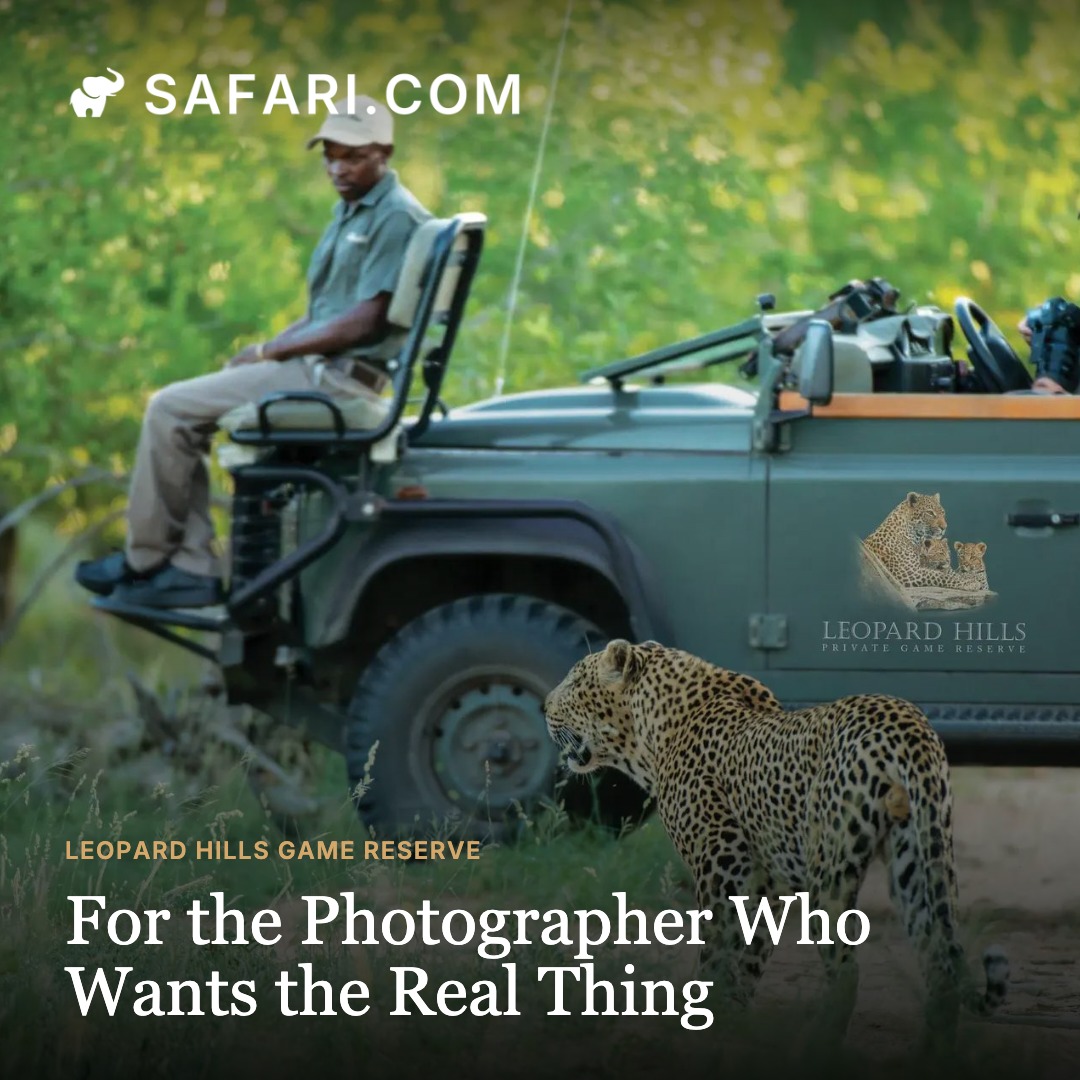 A real Post Studio output: Leopard Hills Game Reserve audience-led variant